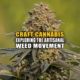 Craft Cannabis: Exploring the Artisanal Weed Movement - Earthy Now