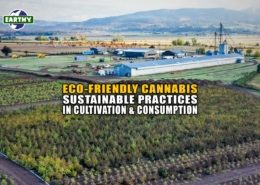 Eco-Friendly Cannabis: Sustainable Practices in Cultivation and Consumption - Earthy Now