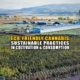 Eco-Friendly Cannabis: Sustainable Practices in Cultivation and Consumption - Earthy Now