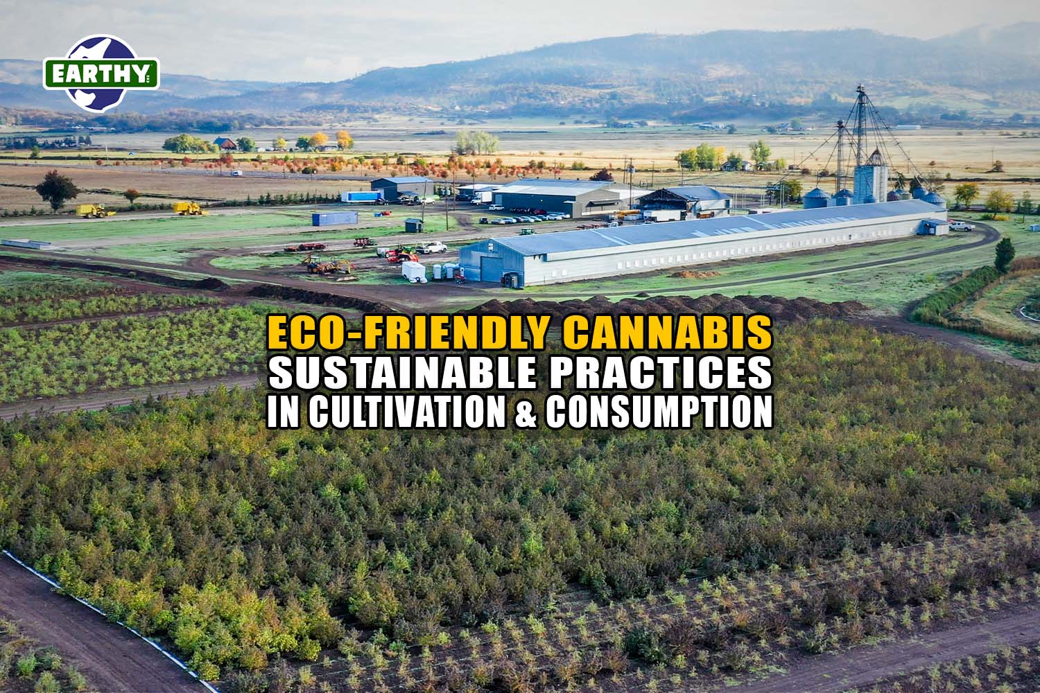 Eco-Friendly Cannabis: Sustainable Practices in Cultivation and Consumption - Earthy Now