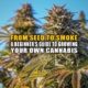 From Seed to Smoke: A Beginner's Guide to Growing Your Own Cannabis - Earthy Now