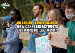High Impact: How Cannabis Activists Are Changing the Legal Landscape - Earthy Select