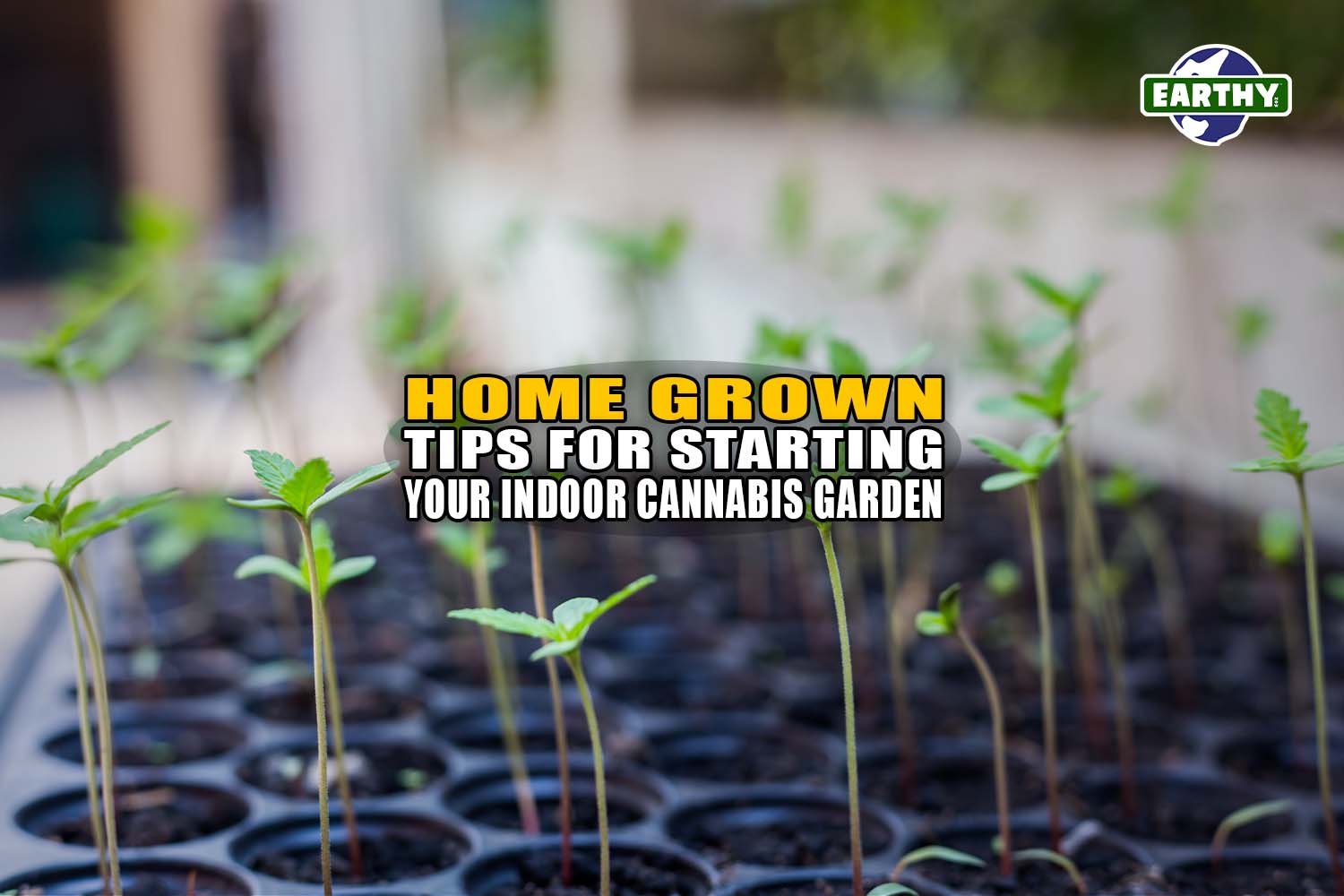 Home Grown: Tips for Starting Your Indoor Cannabis Garden - Earthy Now