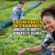 Social Equity in Cannabis: Addressing the Industry's Diversity Issues - Earthy Now