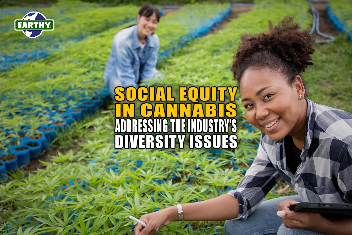 Social Equity in Cannabis: Addressing the Industry's Diversity Issues - Earthy Now