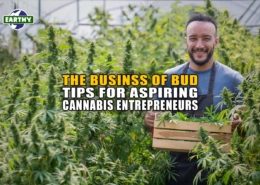 The Business of Bud: Tips for Aspiring Cannabis Entrepreneurs - Earthy Now