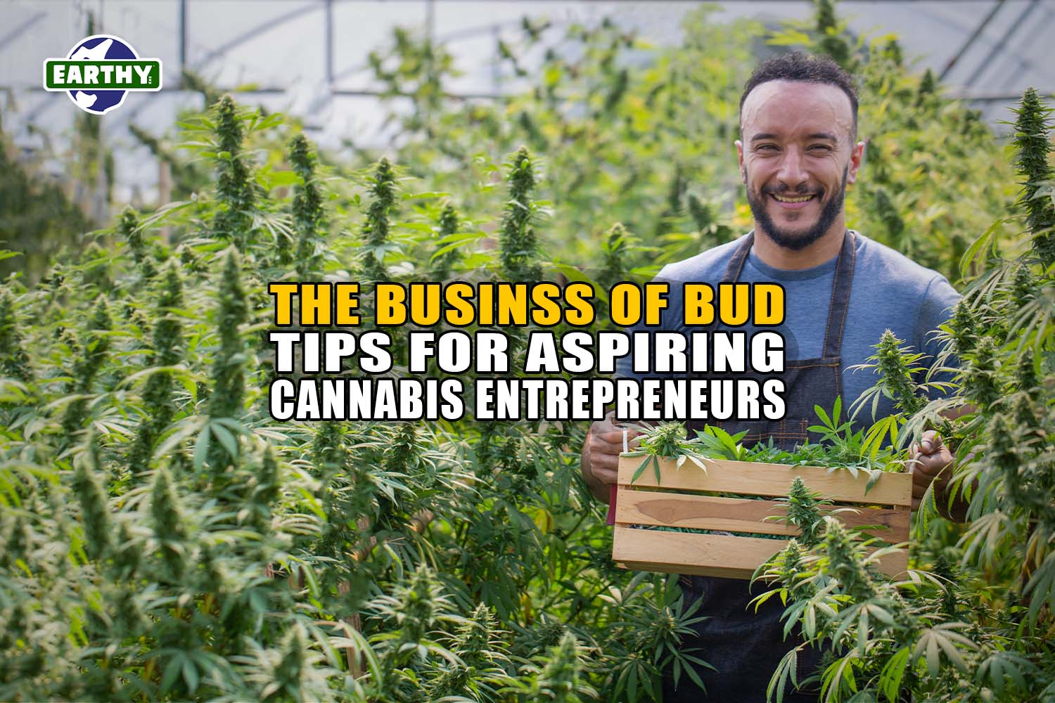 The Business of Bud: Tips for Aspiring Cannabis Entrepreneurs - Earthy Now