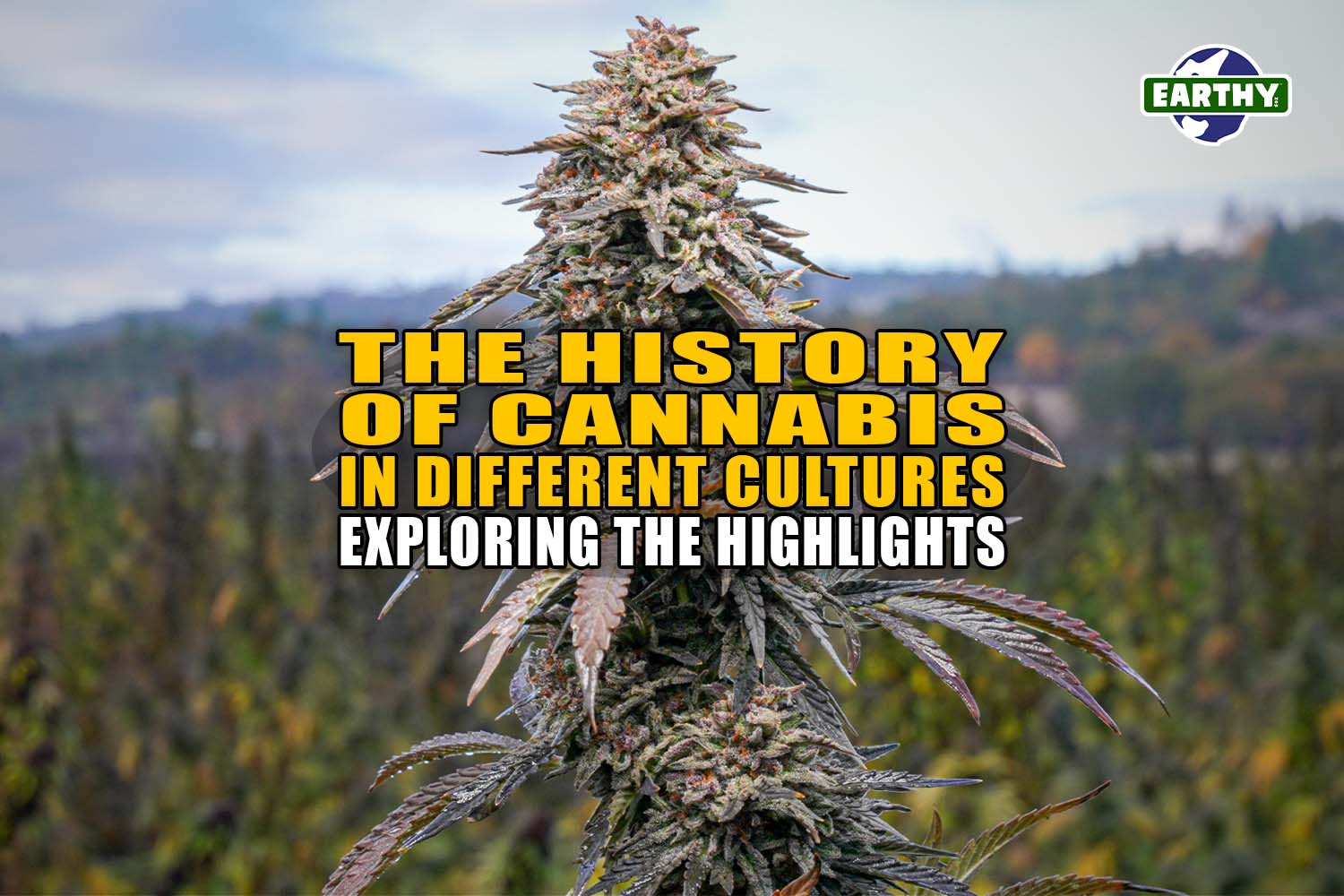 The History of Cannabis in Different Cultures: Exploring the Highlights - Earthy Now