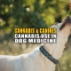 Canines and Cannabinoids: Cannabis Use in Dog Medicine - Earthy now