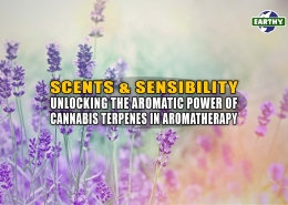 Purple flowers in a field. Cannabis terpenes are related to aromatherapy. Earthy Now