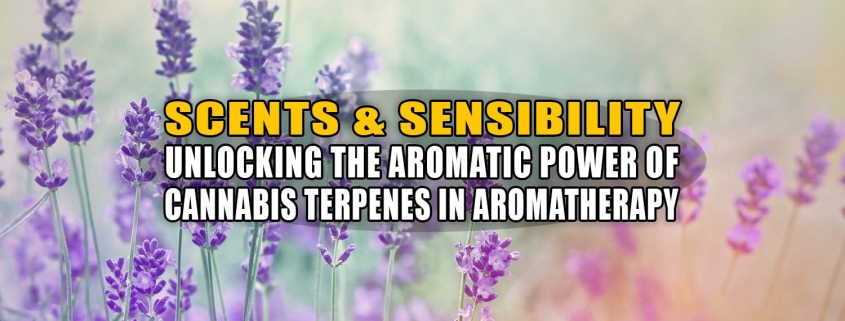 Purple flowers in a field. Cannabis terpenes are related to aromatherapy. Earthy Now