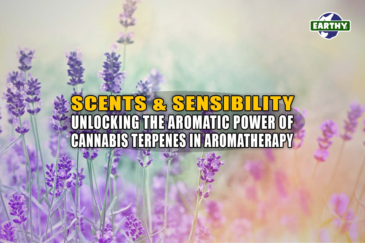 Purple flowers in a field. Cannabis terpenes are related to aromatherapy. Earthy Now