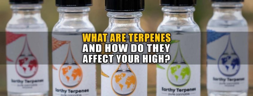 What Are Terpenes and How Do They Affect Your High? - Earthy Now