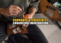 Cannabis and Creativity: Enhancing Imagination - Earthy Select