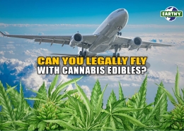 Airplane flys over superimposed marijuana leaves. Can You Legally Fly with Cannabis Edibles? Earthy Now