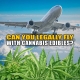 Airplane flys over superimposed marijuana leaves. Can You Legally Fly with Cannabis Edibles? Earthy Now