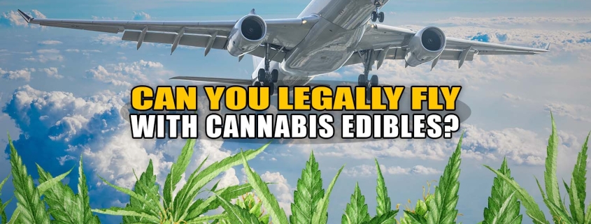 Airplane flys over superimposed marijuana leaves. Can You Legally Fly with Cannabis Edibles? Earthy Now