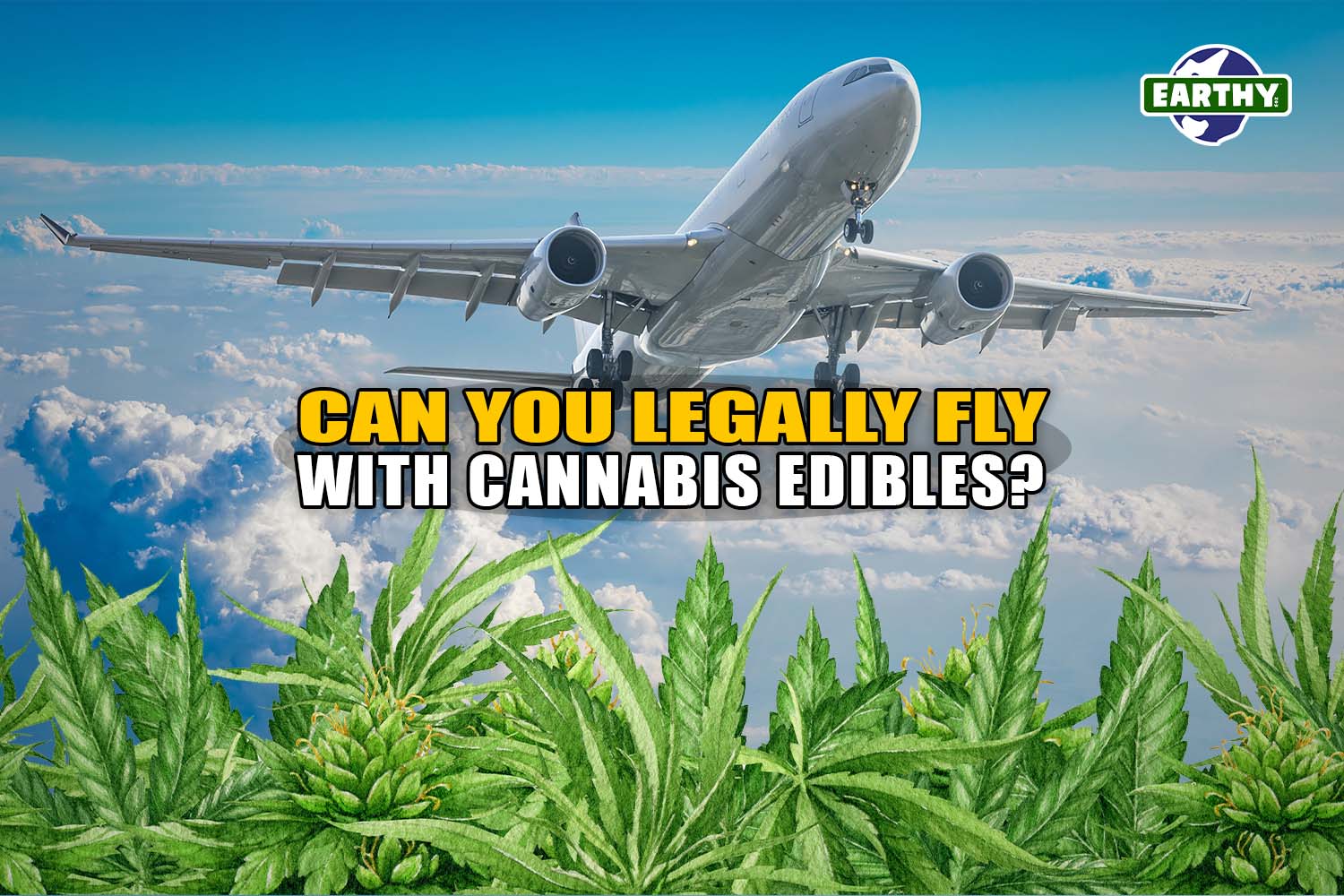 Airplane flys over superimposed marijuana leaves. Can You Legally Fly with Cannabis Edibles? Earthy Now