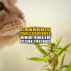 Cannabis for Cat People and Their Feline Friends - Earthy Now