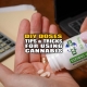 DIY Doses: Tips and Tricks for Using Cannabis - Earthy Now