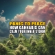 Cloudscape over a field of flowering cannabis plants. Panic to Peace: How cannabis can calm your inner storm - Earthy Now