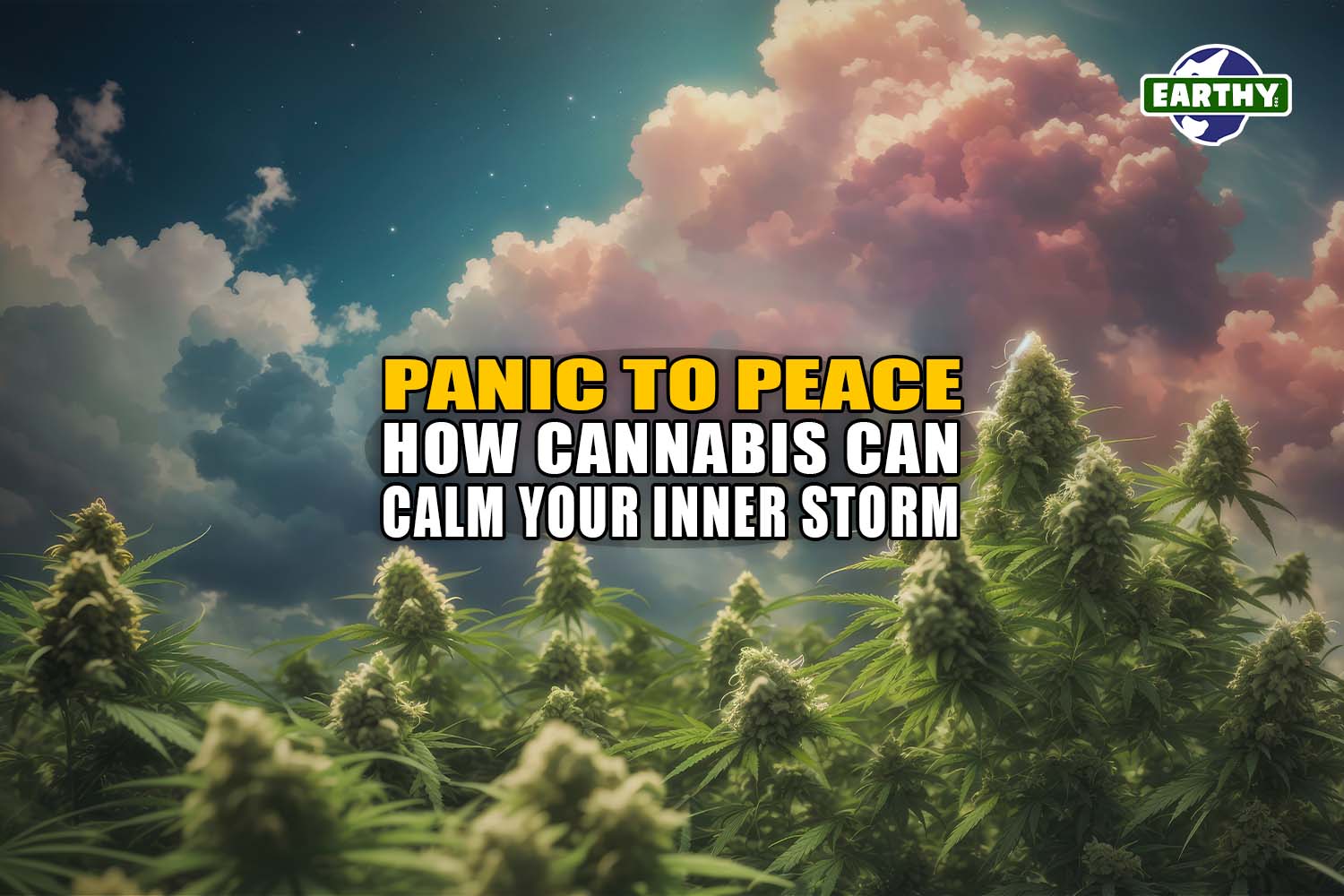 Cloudscape over a field of flowering cannabis plants. Panic to Peace: How cannabis can calm your inner storm - Earthy Now